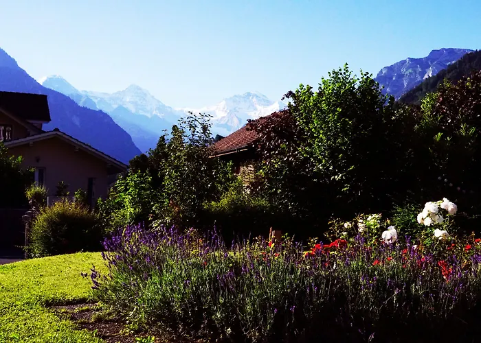 Adventure InterlakenHostel